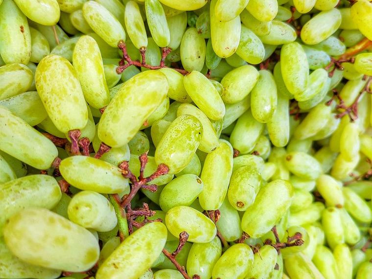 Grapes — Thompson Seedless and Sonaka